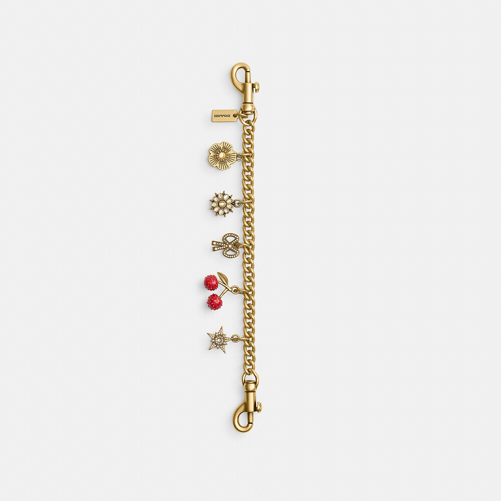 Coach Crystal Motif Chain Bag Charm